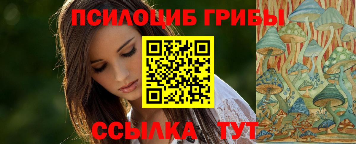 Галлюциногенные грибы прущие грибы Острогожск