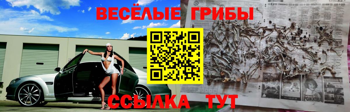 Галлюциногенные грибы Psilocybe  Вход с VPN  Острогожск 