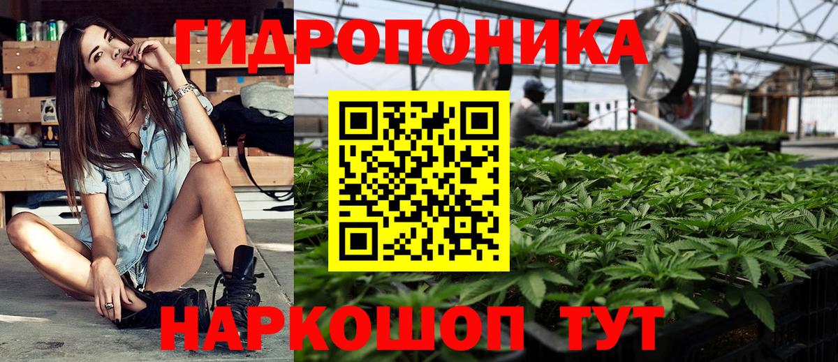 Каннабис семена  Марихуана ГИДРОПОН  Острогожск  Каннабис THC 21%  Вход с VPN  Бошки марихуана OG Kush 